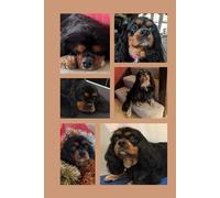 Black & Tan with Love: Cavalier King Charles Spaniel Notebook: A Cute & Practical Journal for Dog Lovers (K&Z Cavalier Lover Series)