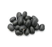 Black Turtle Beans 10 Seeds -ORGANIC, Non-GMO, healthy and tasty variety