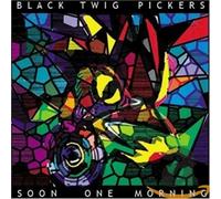 Black Twig Pickers - Soon One Morning