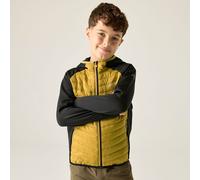 Regatta Unisex Kids Junior Andreson Hybrid Quilted Jacket Water Repellent Coat 11-12 Yrs Black/Wood Brown