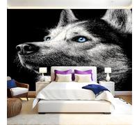 Black Wall Murals for Living Room Animal sled Dogs 3D Print Photo Wallpaper Luxury Design Modern Non-Woven Wall Mural Sofa TV Kids Bedroom Decoration 200 x 140cm