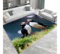 Black Washable Area Rugs Animal Puffin Area Rug For Living Room 140 X 200 Cm Soft Faux Short Pile Carpet Mat Durable Enough Foldable Apply To Bedroom Dining Room,60 X 90 Cm