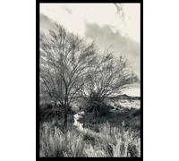 Black & White Arizona Sonoran Desert Oasis for a Spell Notebook