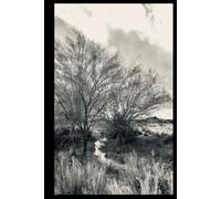 Black & White Arizona Sonoran Desert Oasis for a Spell Notebook