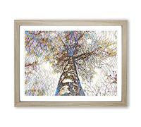 Black & White Birch Tree No.4 Modern BG Framed Wall Art Print, Ready to Hang Picture for Living Room Bedroom Home Office Décor, Oak A2 (64 x 46 cm)