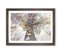 Black & White Birch Tree No.4 Modern BG Framed Wall Art Print, Ready to Hang Picture for Living Room Bedroom Home Office Décor, Walnut A2 (64 x 46 cm)