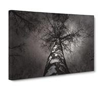 Black & White Birch Tree No.4 Modern Canvas Wall Art Print Ready to Hang, Framed Picture for Living Room Bedroom Home Office Décor, 20x14 Inch (50x35 cm)
