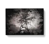 Black & White Birch Tree No.4 Modern CB Canvas Wall Art Print Ready to Hang, Framed Picture for Living Room Bedroom Home Office Décor, 60x40 cm (24x16 Inch)