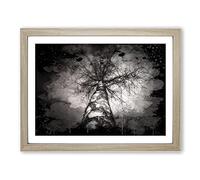 Black & White Birch Tree No.4 Modern CB Framed Wall Art Print, Ready to Hang Picture for Living Room Bedroom Home Office Décor, Oak A4 (34 x 25 cm)