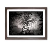 Black & White Birch Tree No.4 Modern CB Framed Wall Art Print, Ready to Hang Picture for Living Room Bedroom Home Office Décor, Walnut A3 (46 x 34 cm)
