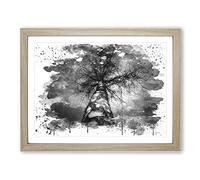 Black & White Birch Tree Vol.4 V4 Modern Framed Wall Art Print, Ready to Hang Picture for Living Room Bedroom Home Office Décor, Oak A4 (34 x 25 cm)