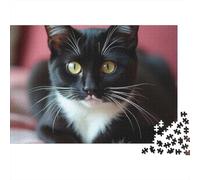 Black White Cat 1000 Pieces Jigsaw Puzzle, Beautiful Stacked Black Cats Art Home Decor, Educational Game for Adults, Challenging Jigsaw, 38x26cm/1000pcs