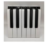 Black White Electric Keyboard Key, Compatible for Korg | PA500 PA300 PA600 PA700,Replacement Parts(12 key)