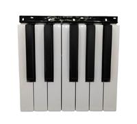 Black White Electric Keyboard Replacement Key - Compatible With Korg PA500 PA300 PA600 PA700(12 black white key)