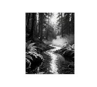 Black White Landscape Wall Art. Tree River 2. Picture 80x105cm Framed