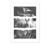 Black White Photography Triptych Rabbit Hare Canvas Wall Art Print