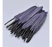 Black White Red Pink Blue Duck Feathers for Clothes Handicraft Accessories Goose Geese Feather Jewelry Making DIY Craft Supplies-Dark grey-100 Pcs