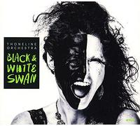Black & White Swan