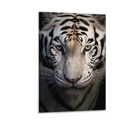 Black White Tiger Printed Canvas Posters Blue Eyed Nature Animal Retro Wall Decor Suitable for Living Rooms Bedroom