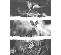 Black White Triptych Rabbit Hare Large Art Print Poster Wall Decor 18x24 inch