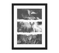 Black White Triptych Rabbit Hare Large Art Print Poster Wall Decor 18x24 inch Supplied Ready To Hang With Included Mount Brackets