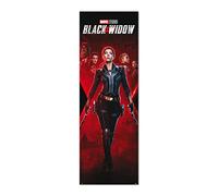 Black Widow Türposter Marvel Teaser, Scarlett Johansson (53cm x 158cm)