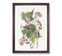 Black & Yellow Warbler Birds by John James Audubon Framed Print | A2 Walnut Framed Wall Art | Ready to Hang | Modern Nature Picture | Living Room Bedroom Lounge Office