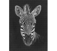 Black Zebra Jigsaw Puzzle 2000 Piece, Puzzles for Adults 2000, The Impossible Challenge, Jigsaw Puzzle Games Classic Educational, Wooden Puzzles, for Home Wall Decoration Gift FNKL1-390