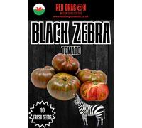 Black Zebra Tomato Seeds - 10 Fresh Seeds