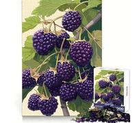 Blackberries on The Branch Jigsaw Puzzles for Adults 1000 Pieces Cognitive Workout Peaceful Fun No Rough Edges Festive Gift (50x75cm)