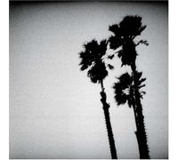 Blackberry Belle by The Twilight Singers