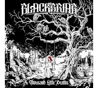 A Thousand Little Deaths