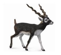 CollectA Blackbuck