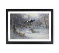 Blackcock and Grouse in Flight by Archibald Thorburn Framed Print | A2 Black Framed Wall Art | Ready to Hang | Modern Nature Picture | Living Room Bedroom Lounge Office