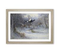 Blackcock and Grouse in Flight by Archibald Thorburn Framed Print | A2 Oak Framed Wall Art | Ready to Hang | Modern Nature Picture | Living Room Bedroom Lounge Office