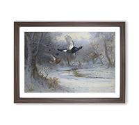Blackcock and Grouse in Flight by Archibald Thorburn Framed Print | A2 Walnut Framed Wall Art | Ready to Hang | Modern Nature Picture | Living Room Bedroom Lounge Office