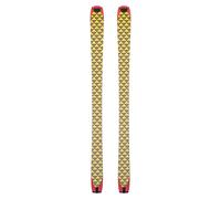 Blackcrows - Climbing skins - Pilus Camox Freebird Skins , in Nylon - Yellow Yellow 188 cm