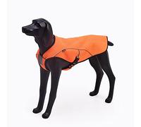 BlackDoggy Cooling Vest for Dogs, Adjustable Buckles & Reflective Trim Summer Hiking/Walking Gear, Warm Jacket Dual Purpose Design (X-Large, Orange)