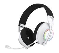 blackfire® Dual Wireless Headset BFX-W100 Pro