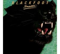 Blackfoot - Tomcattin'