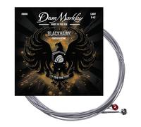 Blackhawk Coated Electric Guitar Strings 6 String Set, Light 9-42 Alloy Steel Guitar Strings Electric, Thin Coated Electric Guitar String, Soaring Tone That Cuts Every Time, Made in the USA