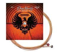Blackhawk Coated Phosphor Bronze Acoustic Guitar Strings, 12-53 Medium Light Guitar Strings Acoustic 6 String Set, Sparking Tone with Warm Rich Sound Acoustic Guitar Strings, Made in the USA