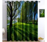 Blackout Curtains For Kids Teens Boys Bedroom, Spring Meadow Forest Natural Landscape Soundproof Window Drapes For Living Room Kitchen Playroom Eyelet Curtain, Green, Set Of 2 Panels W117 x L183 cm