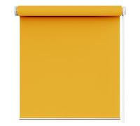 Blackout Roller Blinds 50x100 cmNo Drill Translucent & Darkening Shades Versatile Window Covering for Living Room Bedroom OfficeEasy Install Stylish Privacy Solution