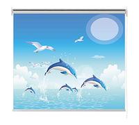 Blackout Roller Shades Dolphin Blinds For Windows Thermal Insulated UV Protection Waterproof Fabric For Home And Office Privacy Screen Fence-44 Sizes-Polyester Gdming (Color : A, Size : 80x110CM)