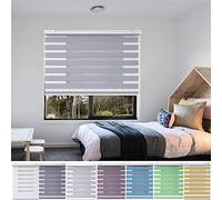 Blackout Roller Window Blind 45 x 250 cm Insulated UV Protection Child Safe Easy Blinds Blackout Home Theater in a Variety of Colours and Sizes Ideal for Home Office Window Blinds, Light Grey