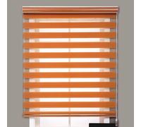 Blackout Zebra Roller Blind Day and Night Roller Blind Light Control Window Shade for Living Room Bedroom Office,Thermal Insulated Blackout Curtain (Orange,160x200cm)