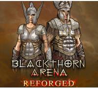 Blackthorn Arena: Reforged - Supporter Pack DLC PC Steam CD Key