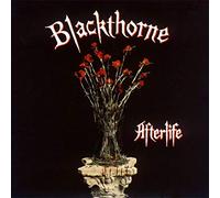 Blackthorne - Afterlife