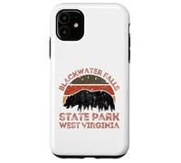 Blackwater Falls State Park Case for iPhone 11